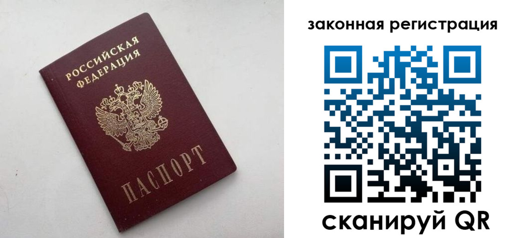 прописка гарантия в Дятьково